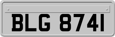 BLG8741