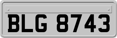 BLG8743