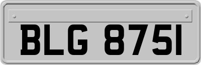 BLG8751
