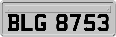 BLG8753