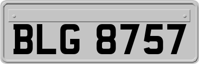 BLG8757