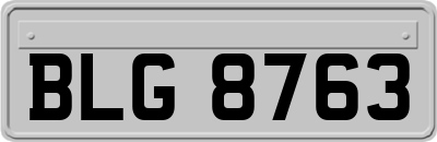 BLG8763