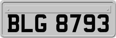 BLG8793