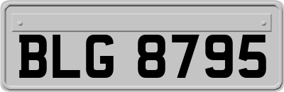 BLG8795