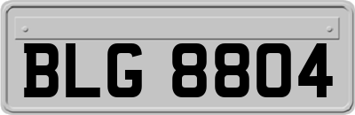 BLG8804