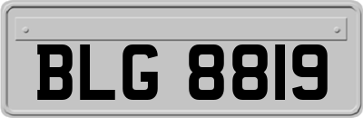 BLG8819