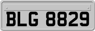 BLG8829