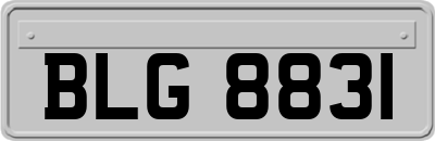 BLG8831