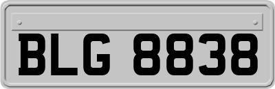 BLG8838