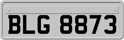BLG8873