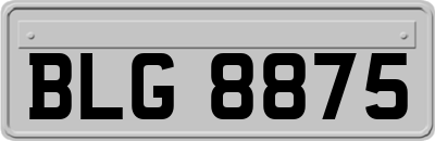 BLG8875