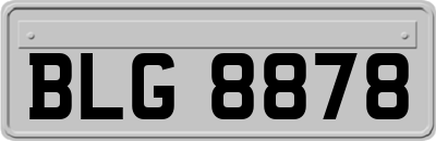BLG8878