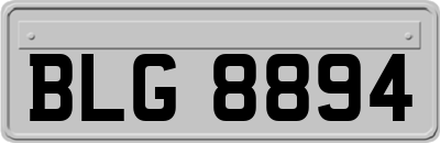 BLG8894