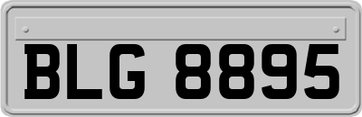 BLG8895