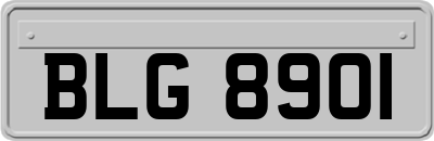 BLG8901