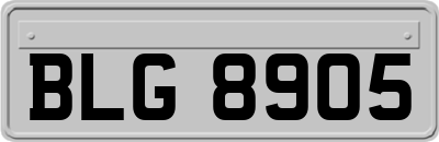 BLG8905