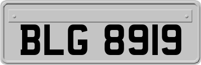 BLG8919
