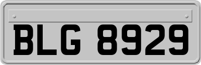 BLG8929