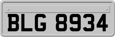 BLG8934