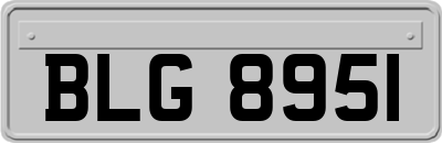 BLG8951