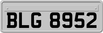BLG8952