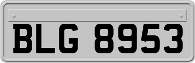 BLG8953