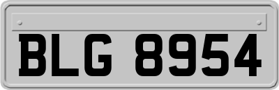 BLG8954