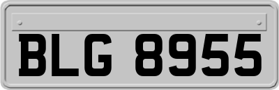 BLG8955
