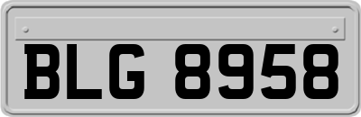 BLG8958