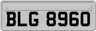 BLG8960