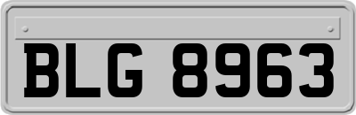 BLG8963