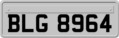 BLG8964