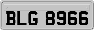 BLG8966