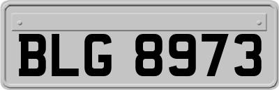 BLG8973