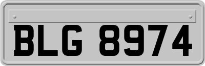 BLG8974