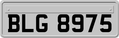 BLG8975
