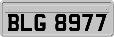 BLG8977