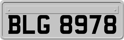 BLG8978