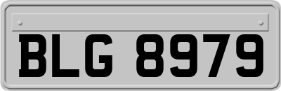 BLG8979