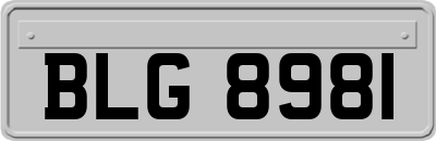 BLG8981