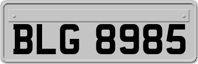 BLG8985