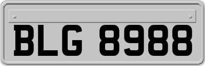 BLG8988