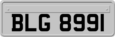 BLG8991