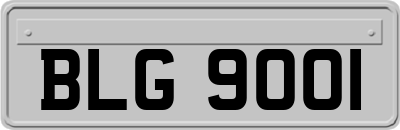 BLG9001