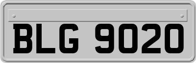 BLG9020