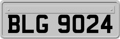BLG9024