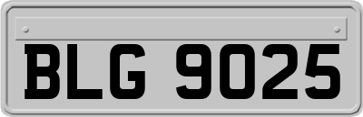 BLG9025