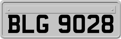 BLG9028