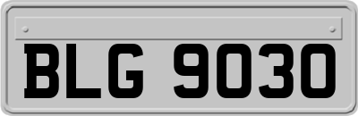 BLG9030