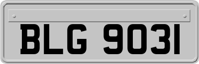 BLG9031